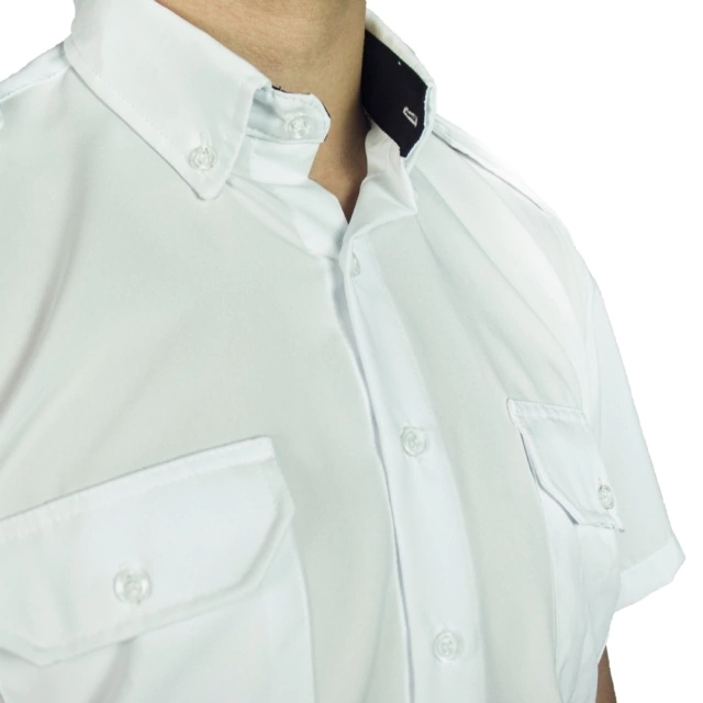 Design sem nome (17).png